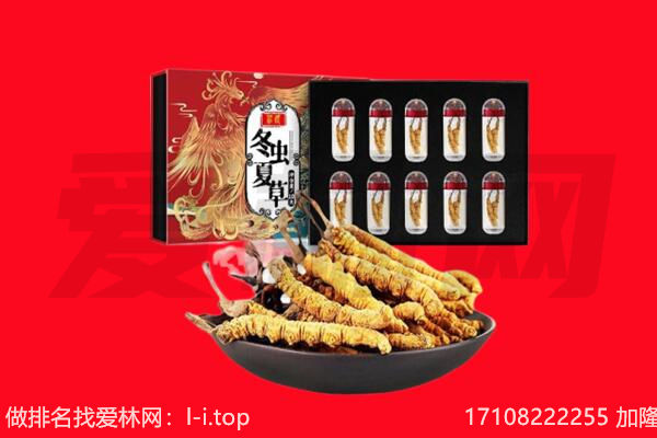 遵义市赤水回收虫草.jpg